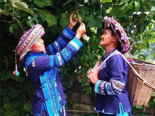 文藝家創(chuàng)作進村寨 鄉(xiāng)村振興與生態(tài)文明的藝術(shù)探索