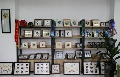 擔得起“新文藝群體”的分量 王世宏談文藝創作與開發